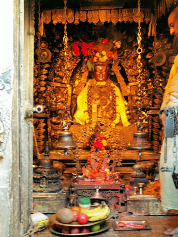 NEPAL - KATHMANDU (PATAN) - een boeddha beeld bij de gouden tempel