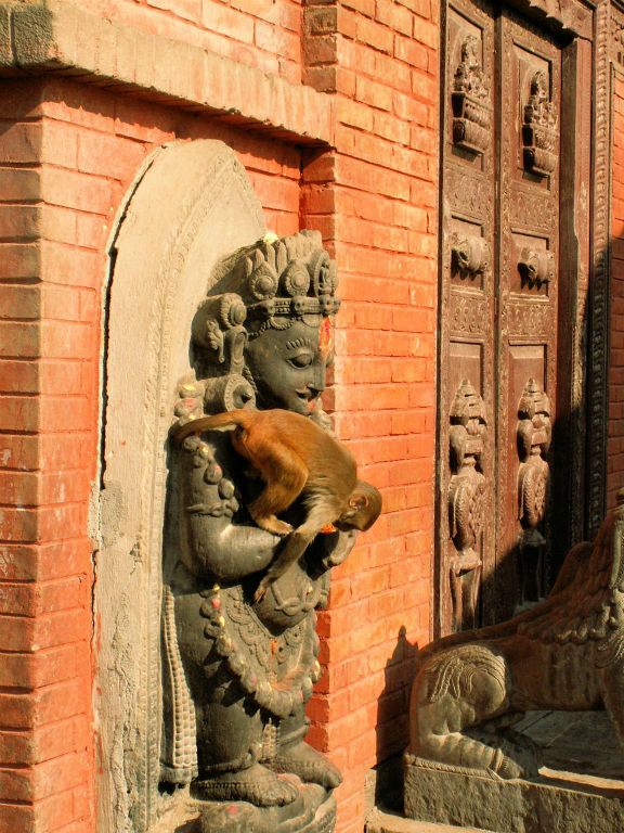 NEPAL - KATHMANDU - een aap op een beeld bij de Swayambhunath stoepa