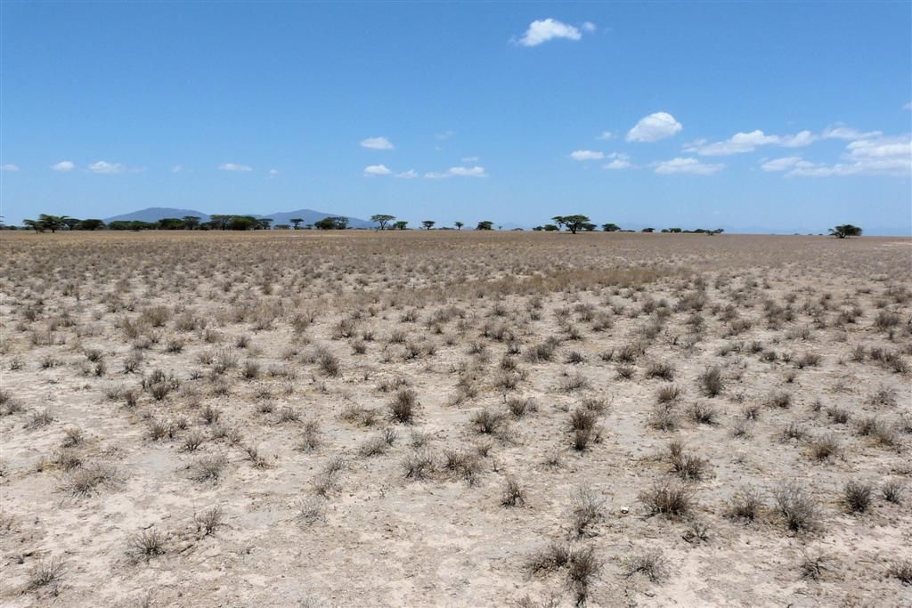 KENIA - BUFFALO SPRINGS - landschap