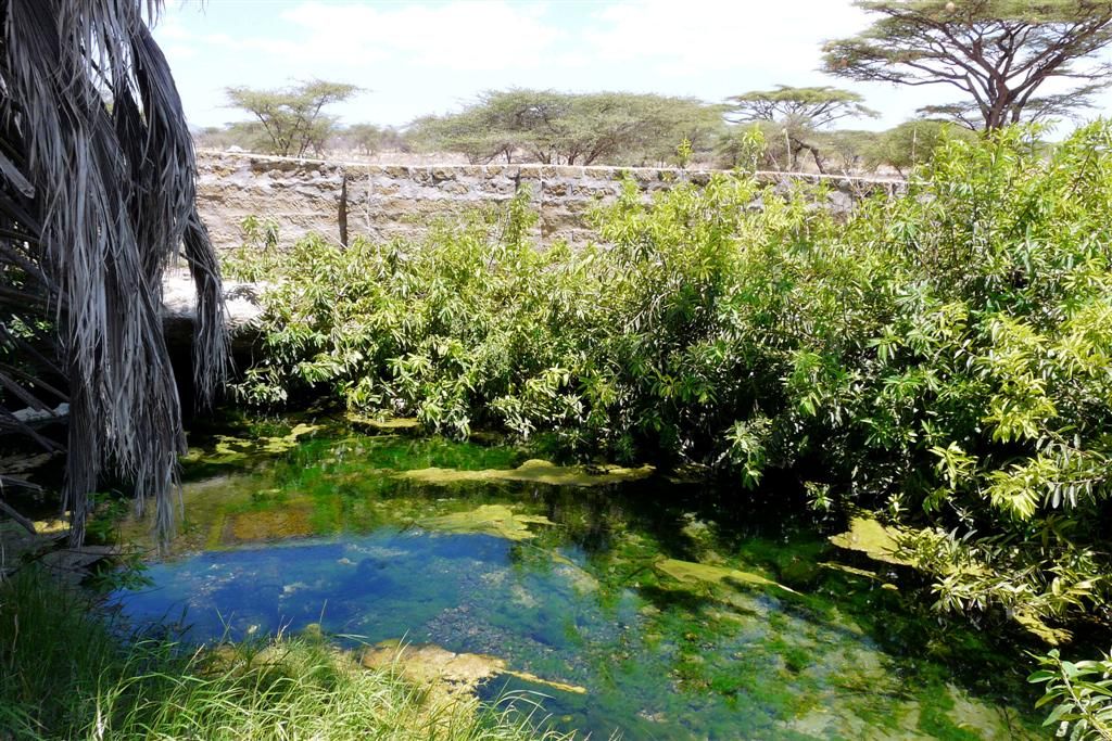 KENIA - BUFFALO SPRINGS - waterbron van Buffalo Springs