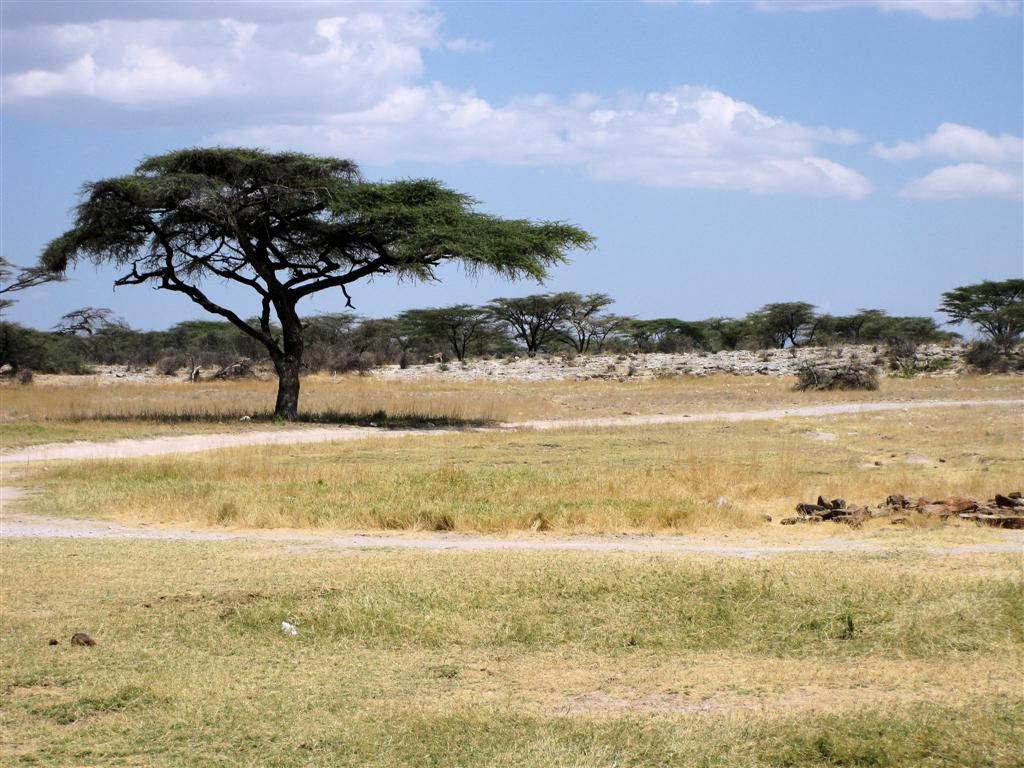 KENIA - BUFFALO SPRINGS - landschap