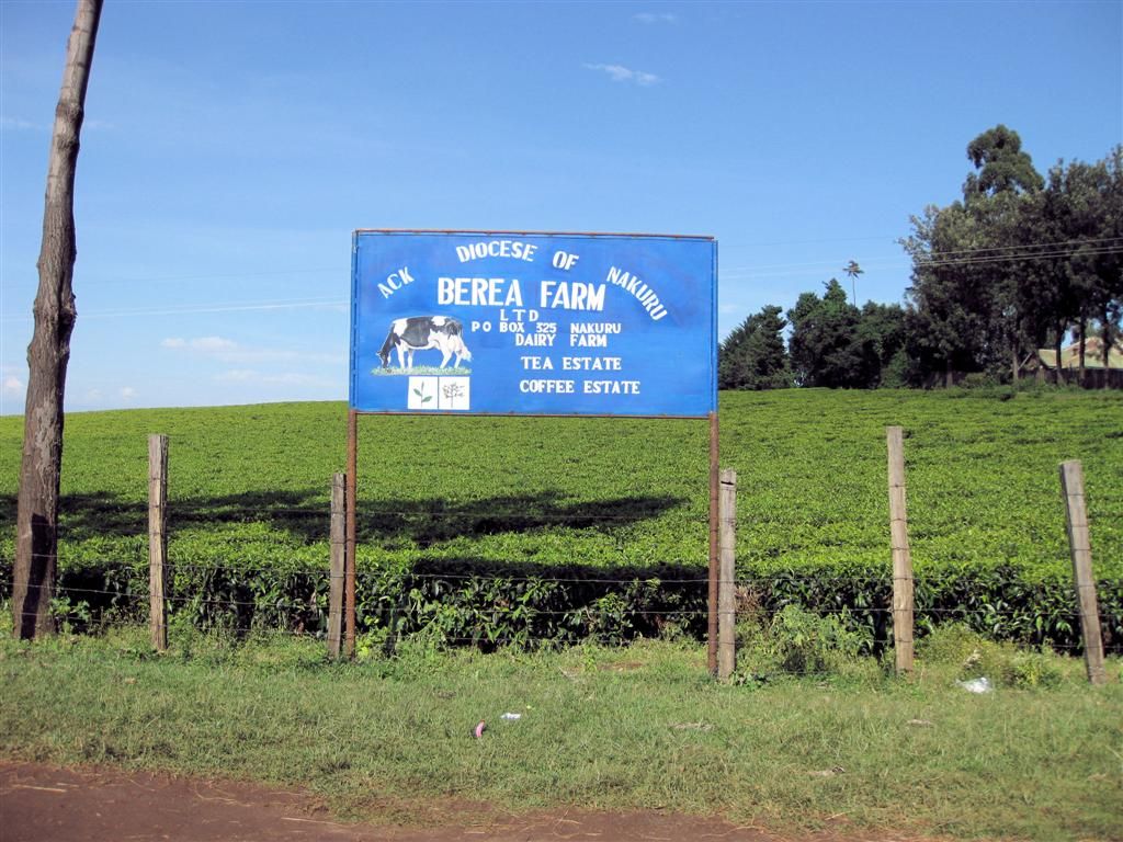 KENIA - NYAHURURU -> LAKE NAKURU NATIONAL PARK - theeplantage