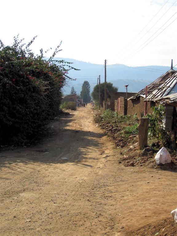 KENIA - NAIVASHA -> MASAI MARA NATIONAL PARK - de lokale weg bij een koffiestop