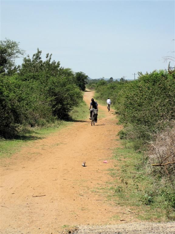 TANZANIA - ISEBANIA -> VICTORIAMEER - weg voor fietsers