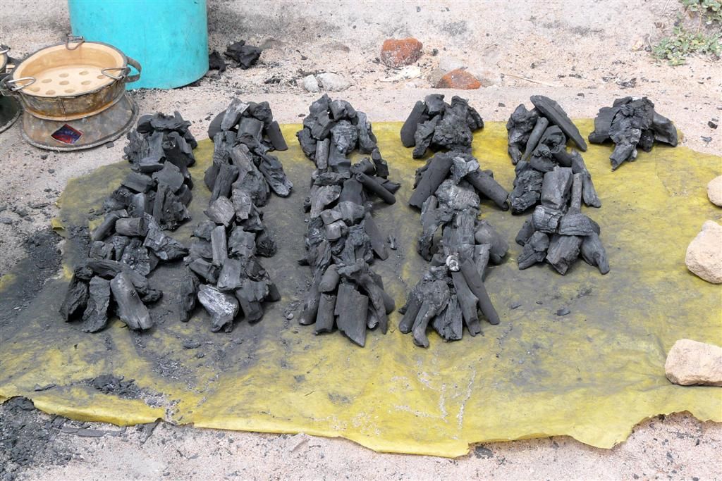 TANZANIA - VICTORIAMEER - verkoop van houtskool
