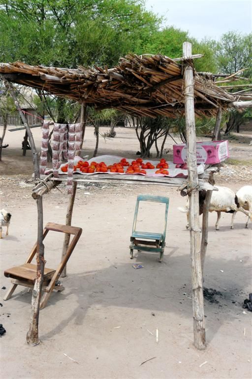 TANZANIA - VICTORIAMEER - tomatenverkoop in het vissersdorp