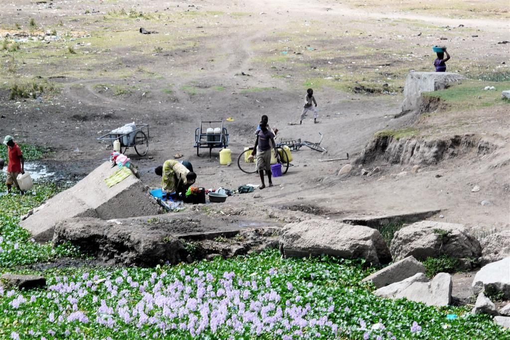 TANZANIA - VICTORIAMEER -> SERENGETI NATIONAL PARK - water- en wasplek