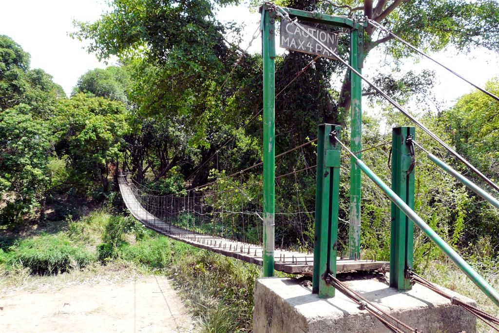 TANZANIA - SERENGETI NATIONAL PARK - een hangbrug