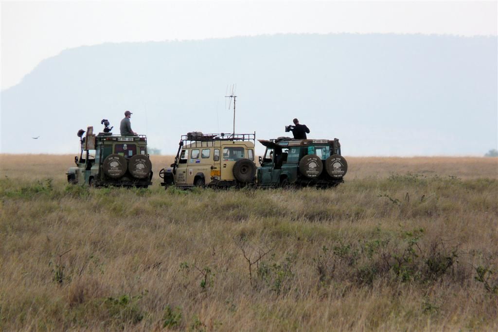 TANZANIA - SERENGETI NATIONAL PARK - een filmploeg