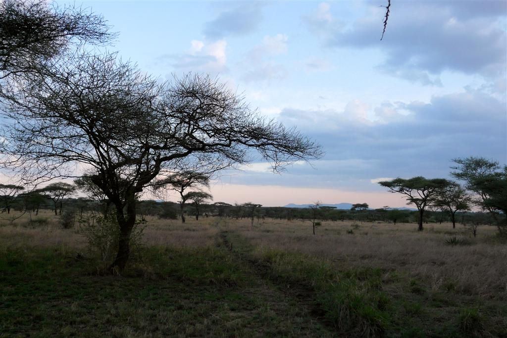 TANZANIA - SERENGETI NATIONAL PARK - uitzicht vanuit onze tent op de Serengeti