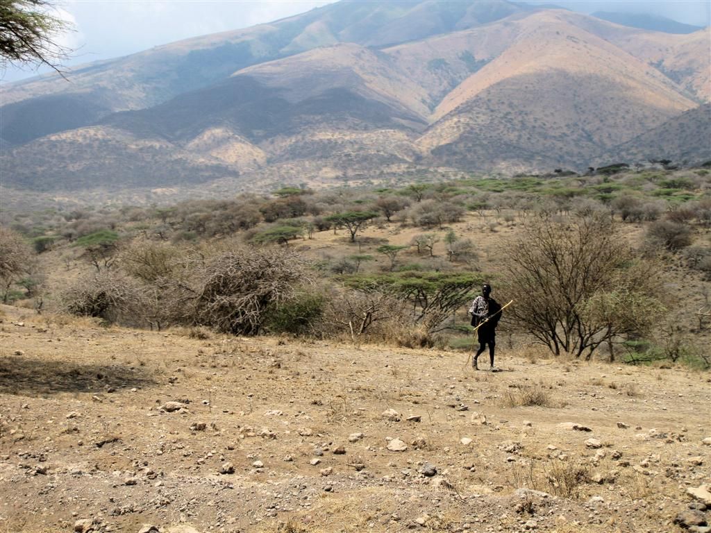 TANZANIA - SERENGETI NATIONAL PARK -> NGORONGOROKRATER - landschap