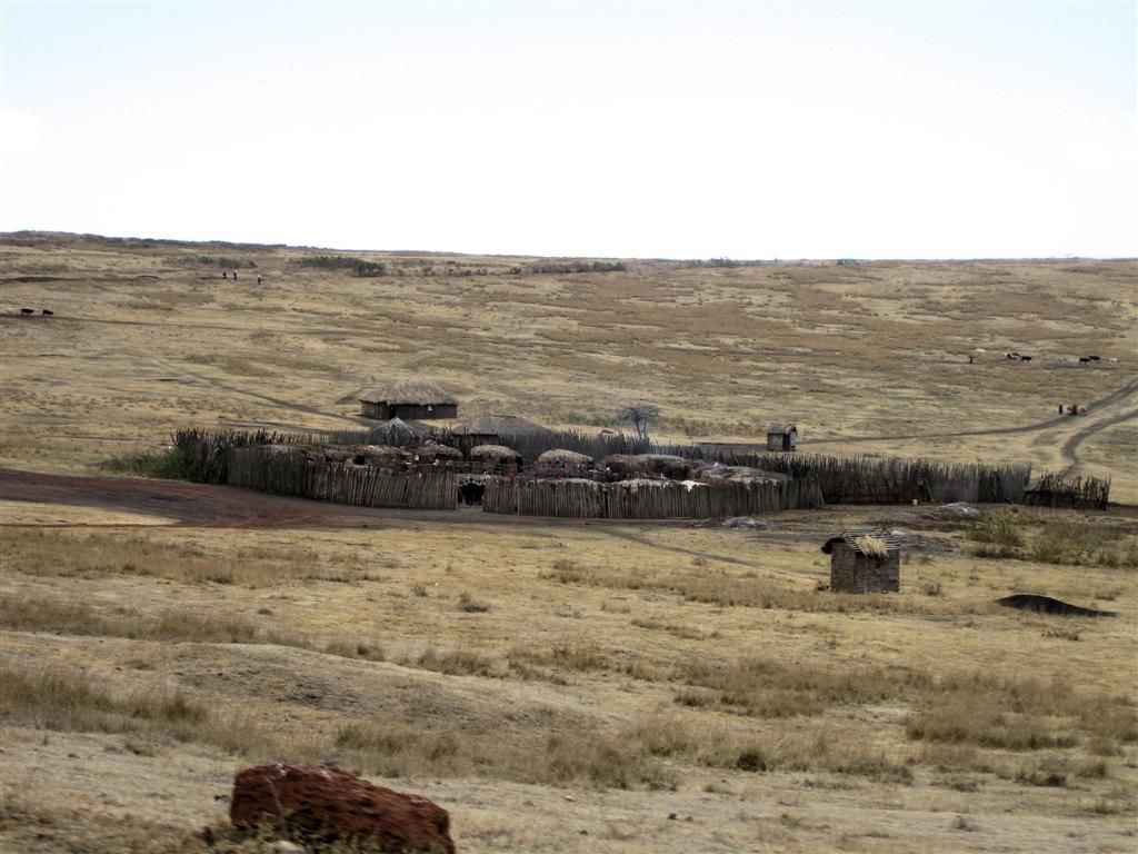 TANZANIA - SERENGETI NATIONAL PARK -> NGORONGOROKRATER - een dorp van een stam