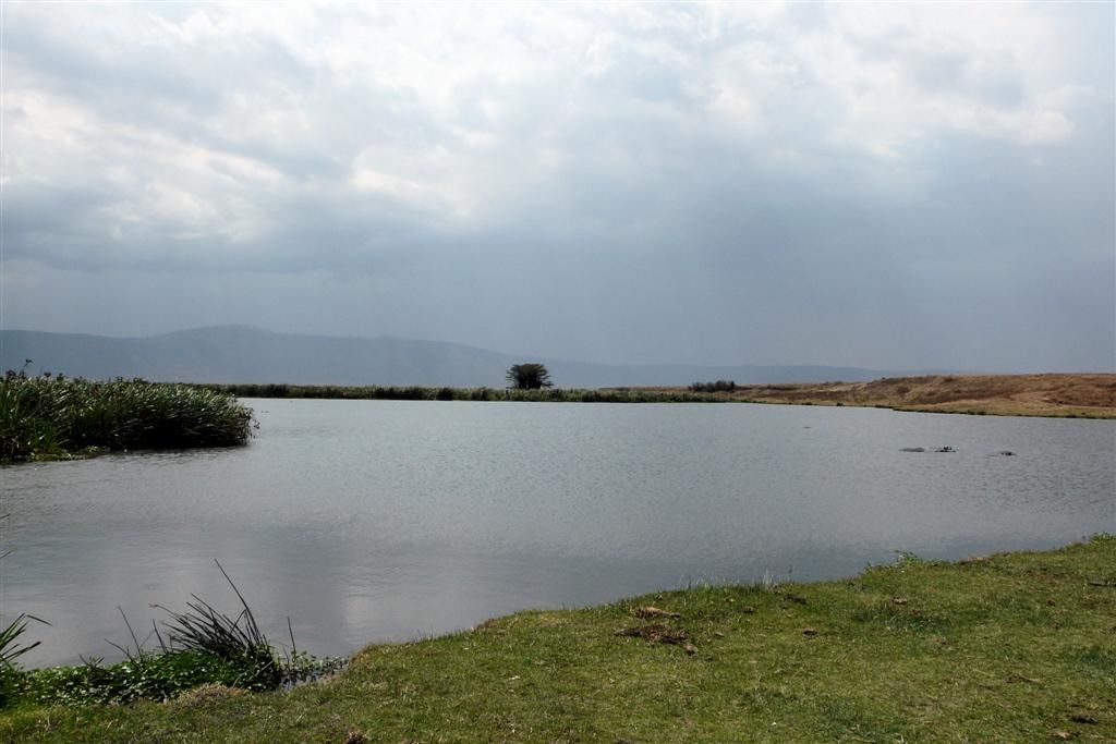 TANZANIA - NGORONGOROKRATER - het meer in de Ngorongorokrater