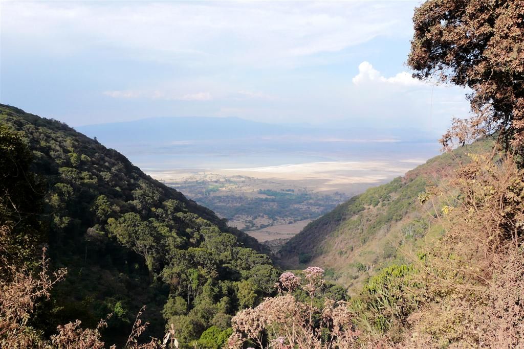 TANZANIA - NGORONGOROKRATER - uitzicht op de Ngorongorokrater