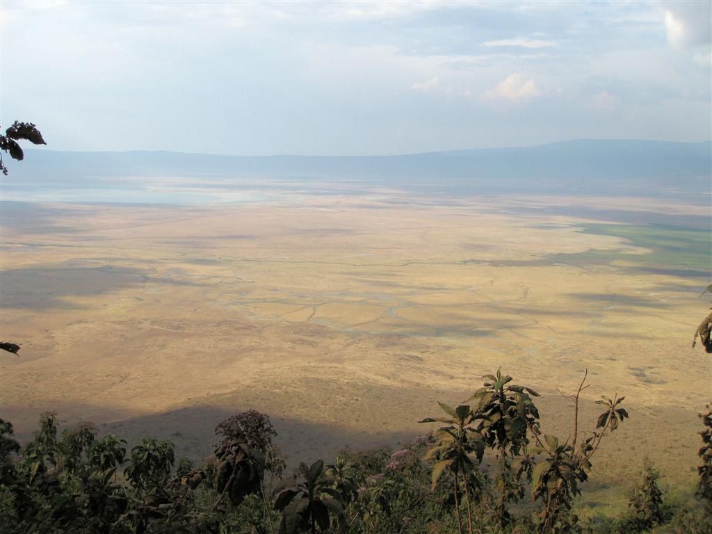 TANZANIA - NGORONGOROKRATER - uitzicht op de Ngorongorokrater
