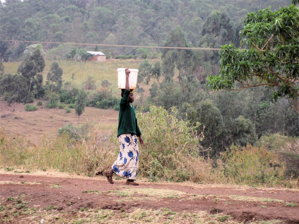 TANZANIA - NGORONGOROKRATER -> ARUSHA - Tanzaniaanse met emmer op haar hoofd