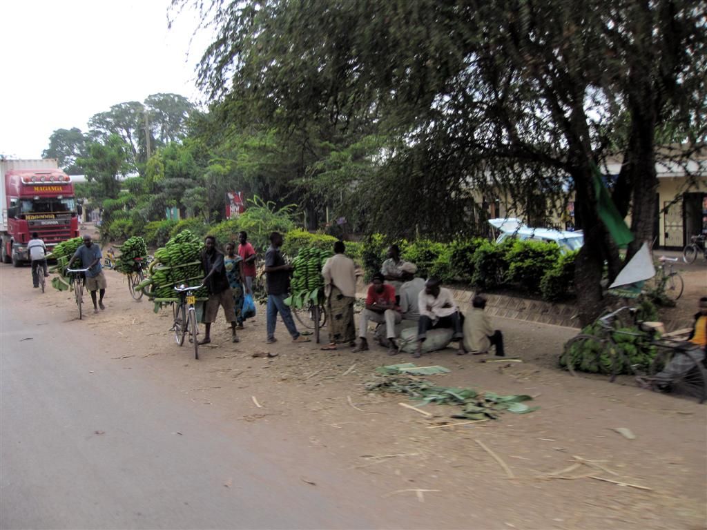 TANZANIA - NGORONGOROKRATER -> ARUSHA - bananenverkopers langs de weg