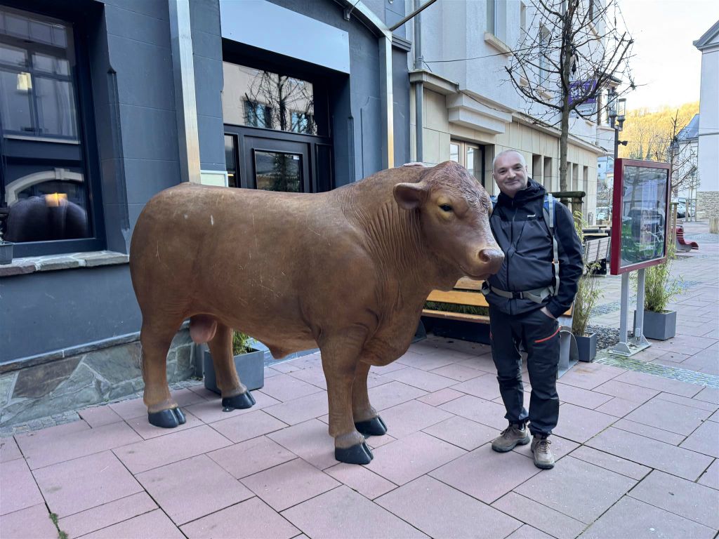 CLERVAUX - Carlos bij een stier