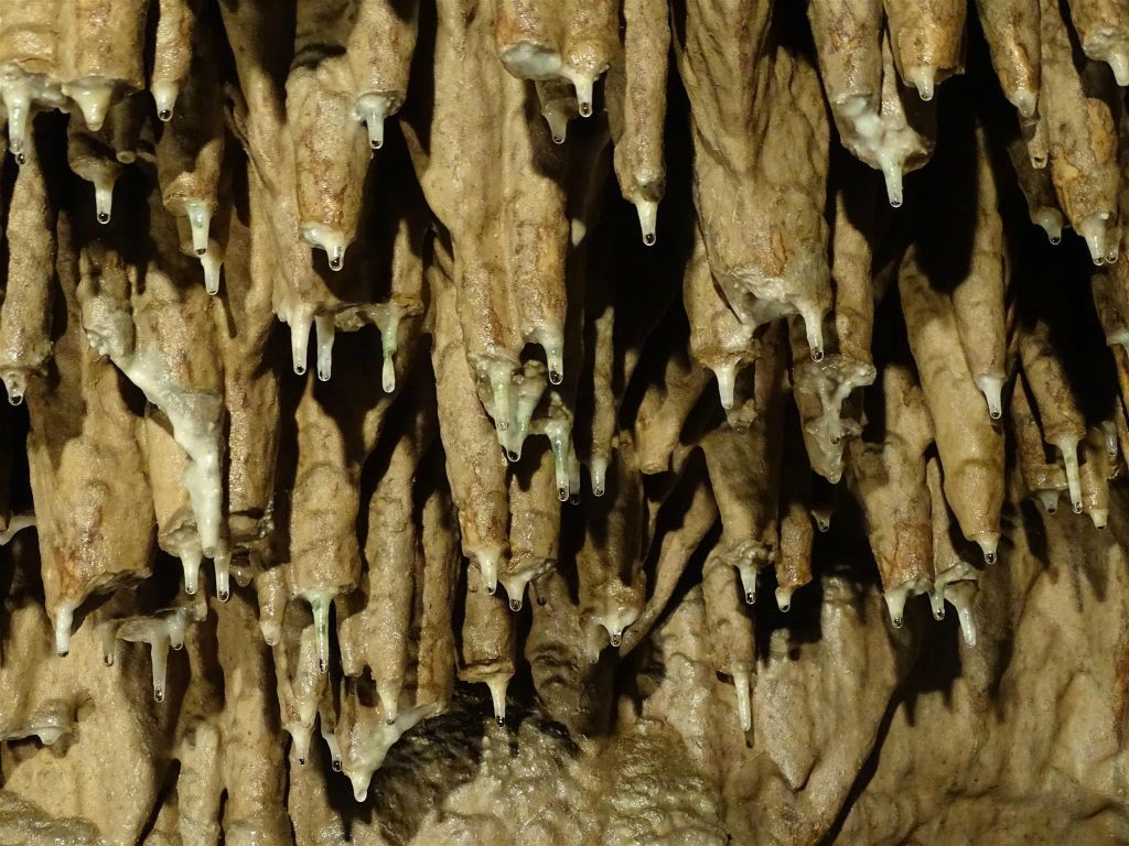 PUNKVA GROTTEN - binnen in de Punkva grotten