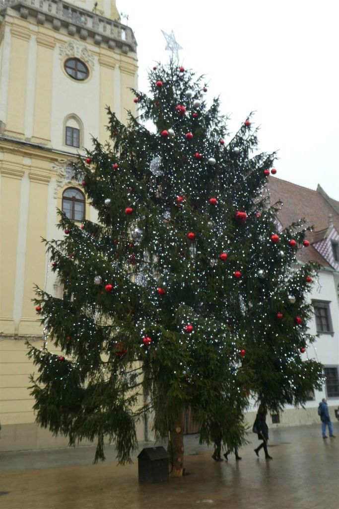 BRATISLAVA (SLOWAKIJE) - een fraai versierde kerstboom