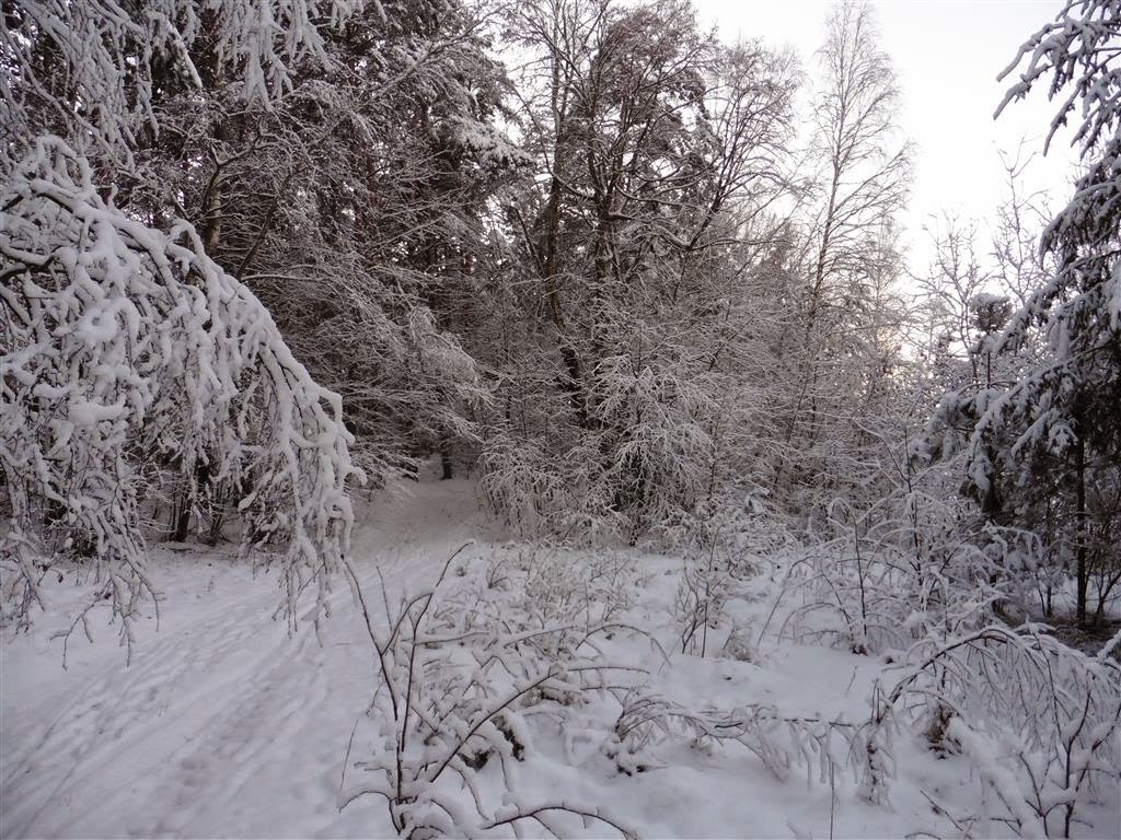 ZDROJEWO - de omgeving in de sneeuw