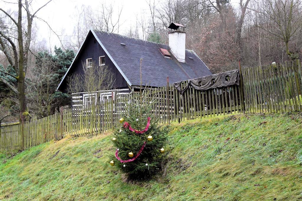 TUBOZ - de kerstboom  van het dorp