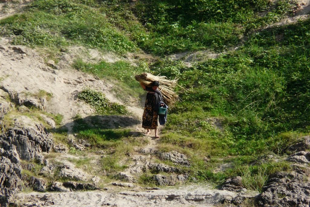 LAOS - HUAY XAI -> PAK BENG - vrouw met graanstengels