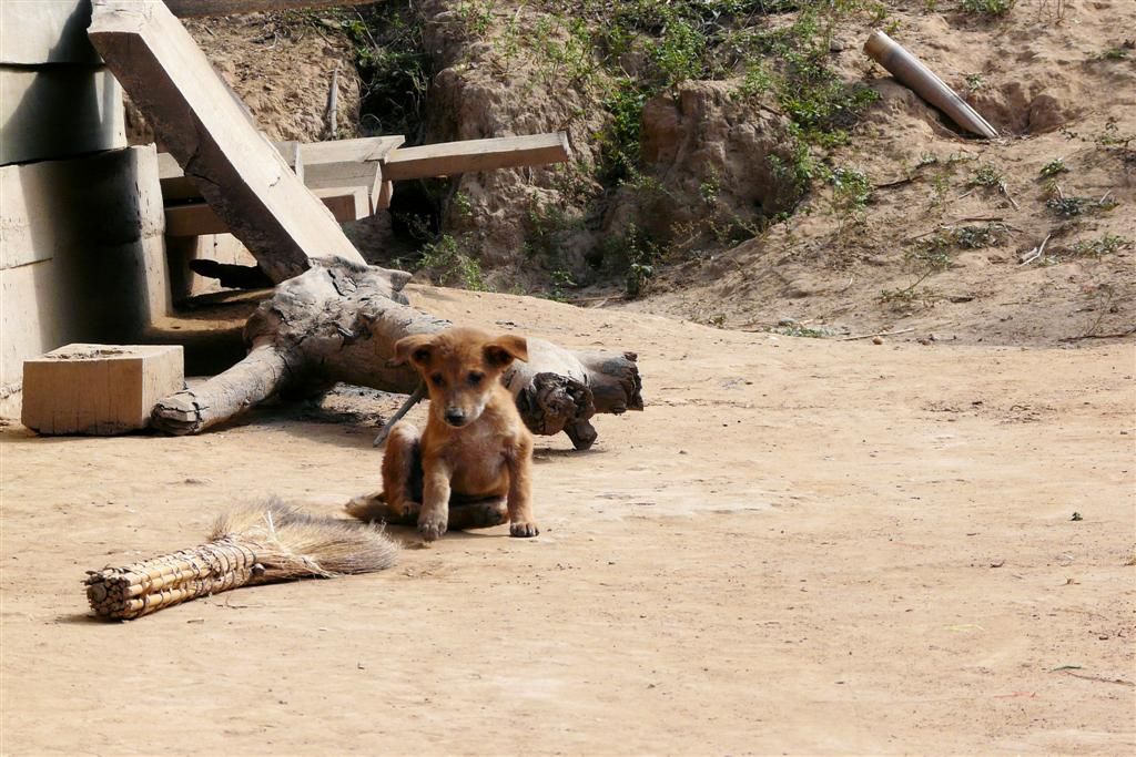 LAOS - PAK BENG -> LUANG PRABANG (stop bij een dorp) - puppie in het dorp