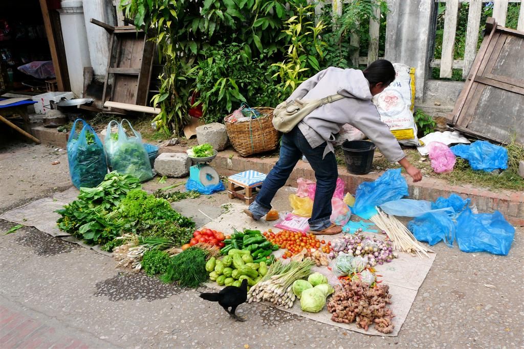 LAOS - LUANG PRABANG - groenten op de lokale markt