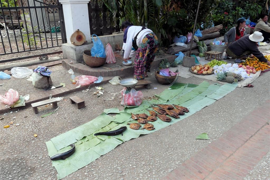 LAOS - LUANG PRABANG - vissen op de lokale markt