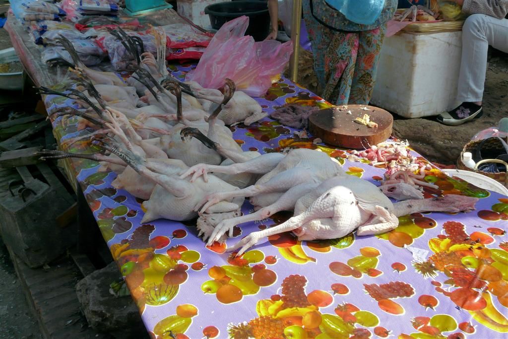 LAOS - LUANG PRABANG - kippen op de lokale markt