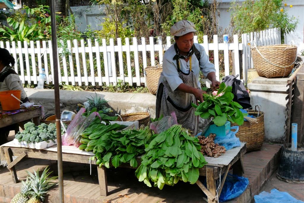 LAOS - LUANG PRABANG - groenten op de lokale markt