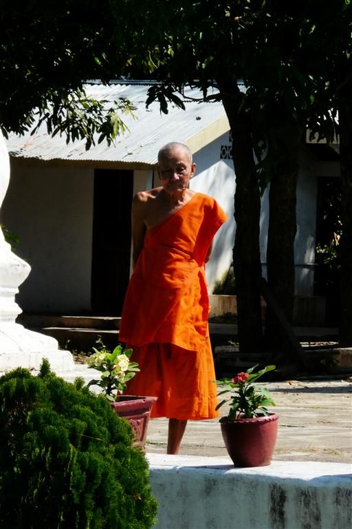 LAOS - LUANG PRABANG - monnik bij Wat Mahathat
