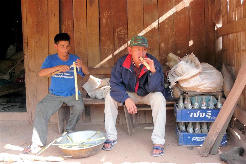 LAOS - LUANG PRABANG -> PHONSOVAN - man die rietsuiker snijd en de andere geniet ervan