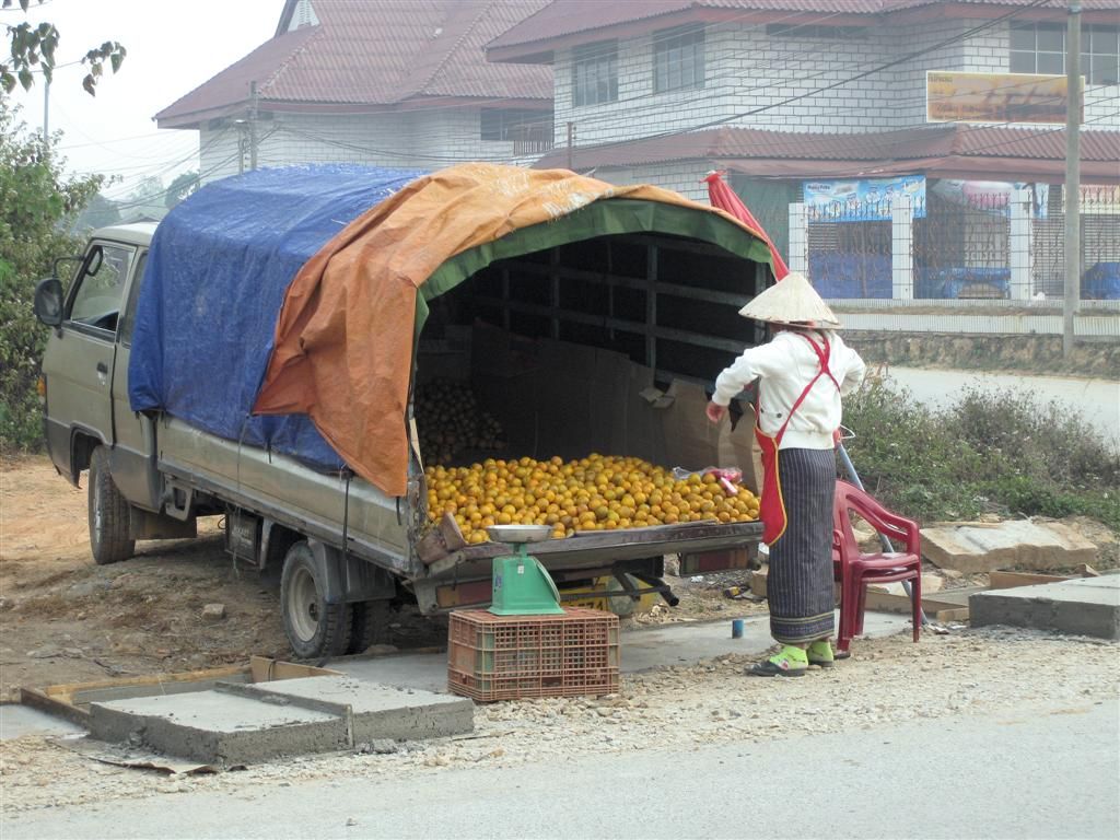 LAOS - PHONSOVAN - verkopen van sinaasappels