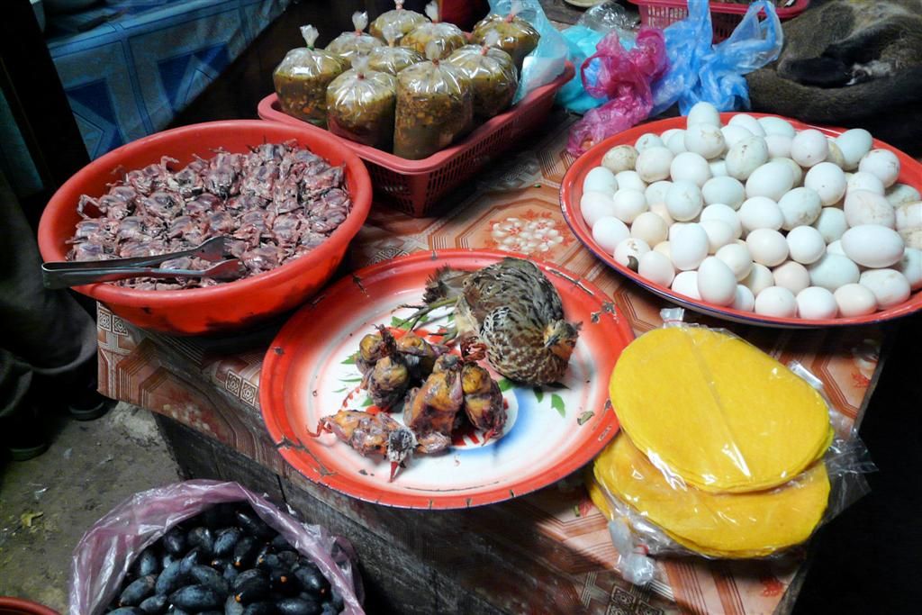 LAOS - PHONSOVAN -> VANG VIENG - vogels en eieren op de lokale markt