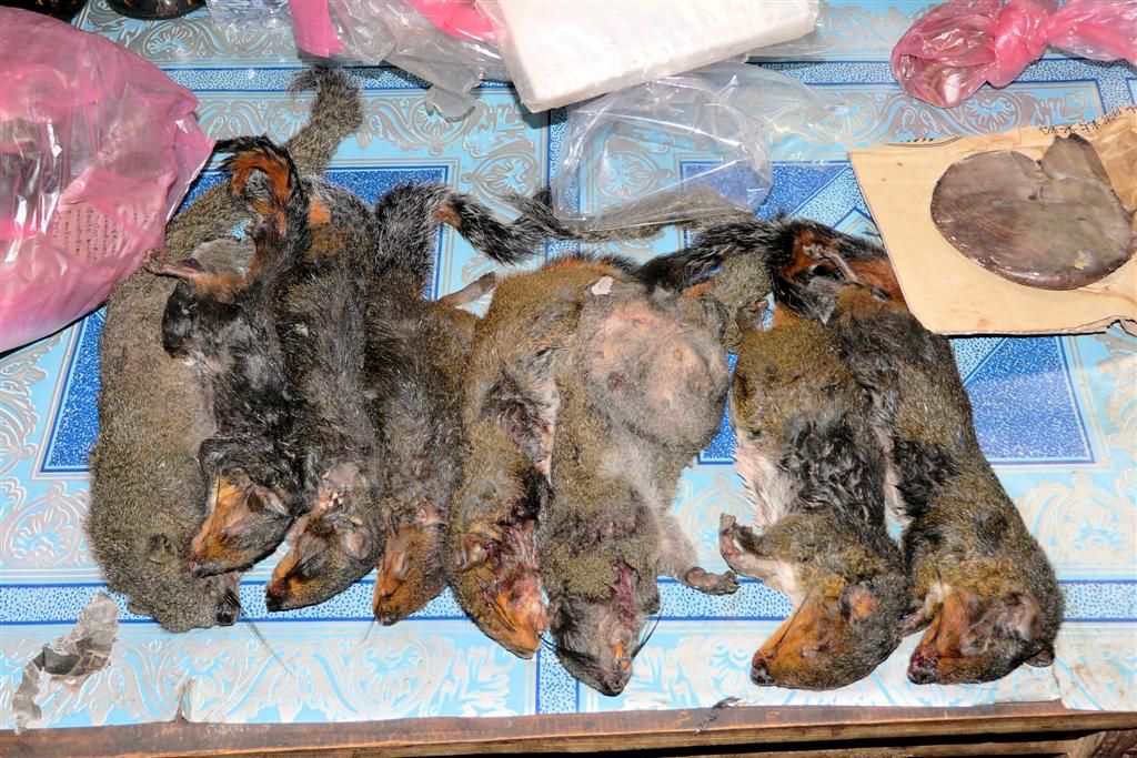 LAOS - PHONSOVAN -> VANG VIENG - knaagdieren op de lokale markt