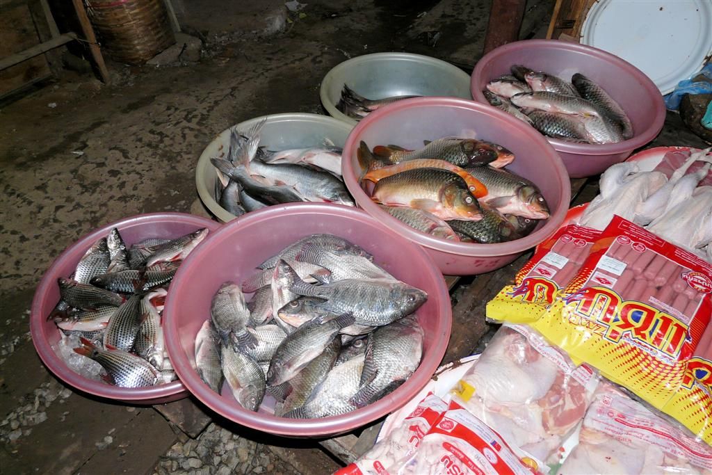 LAOS - PHONSOVAN -> VANG VIENG - vissen op de lokale markt