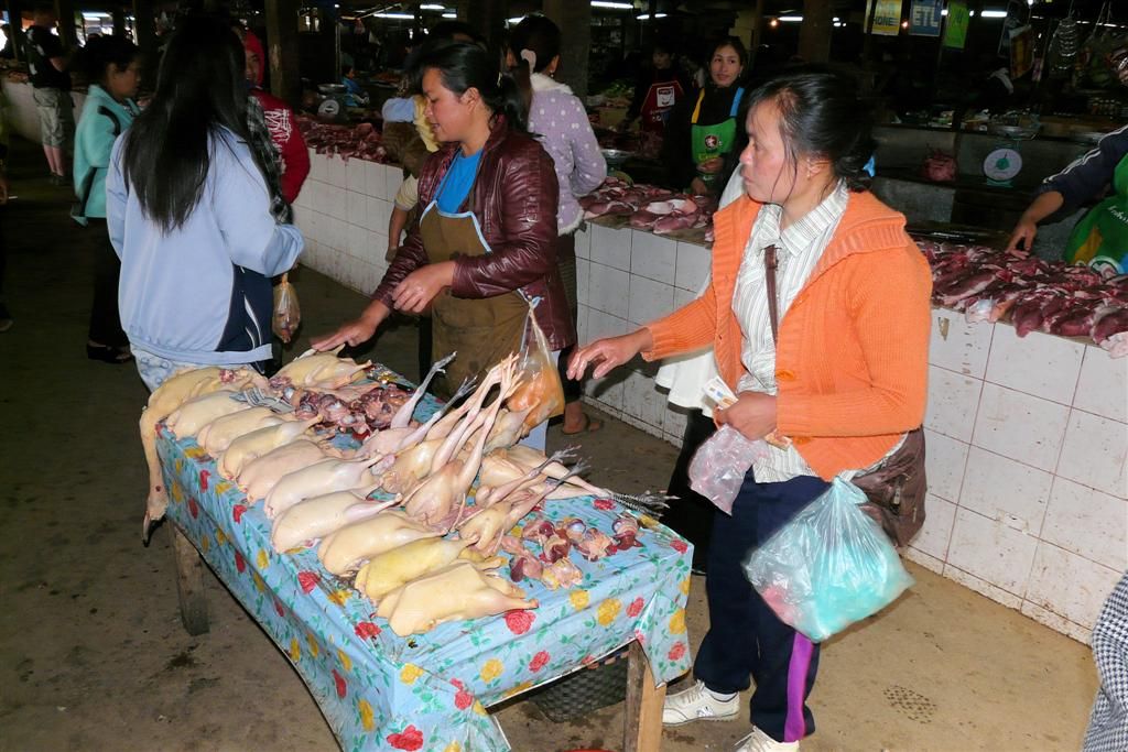 LAOS - PHONSOVAN -> VANG VIENG - geplukte kippen op de lokale markt