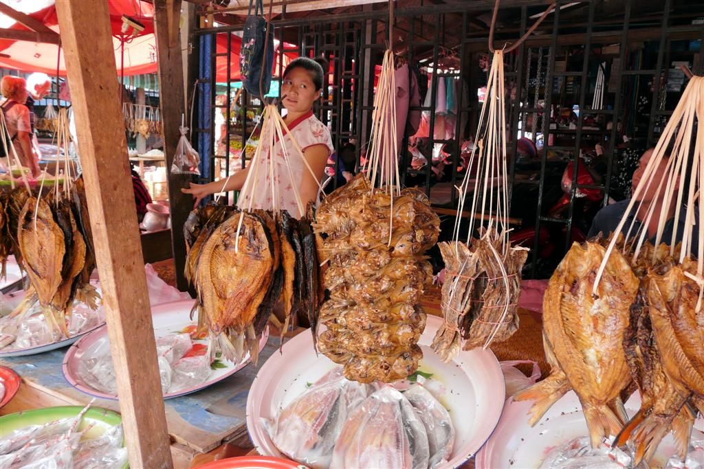 LAOS - VANG VIENG -> VIENTIANE - gedroogde vissen op een lokale markt