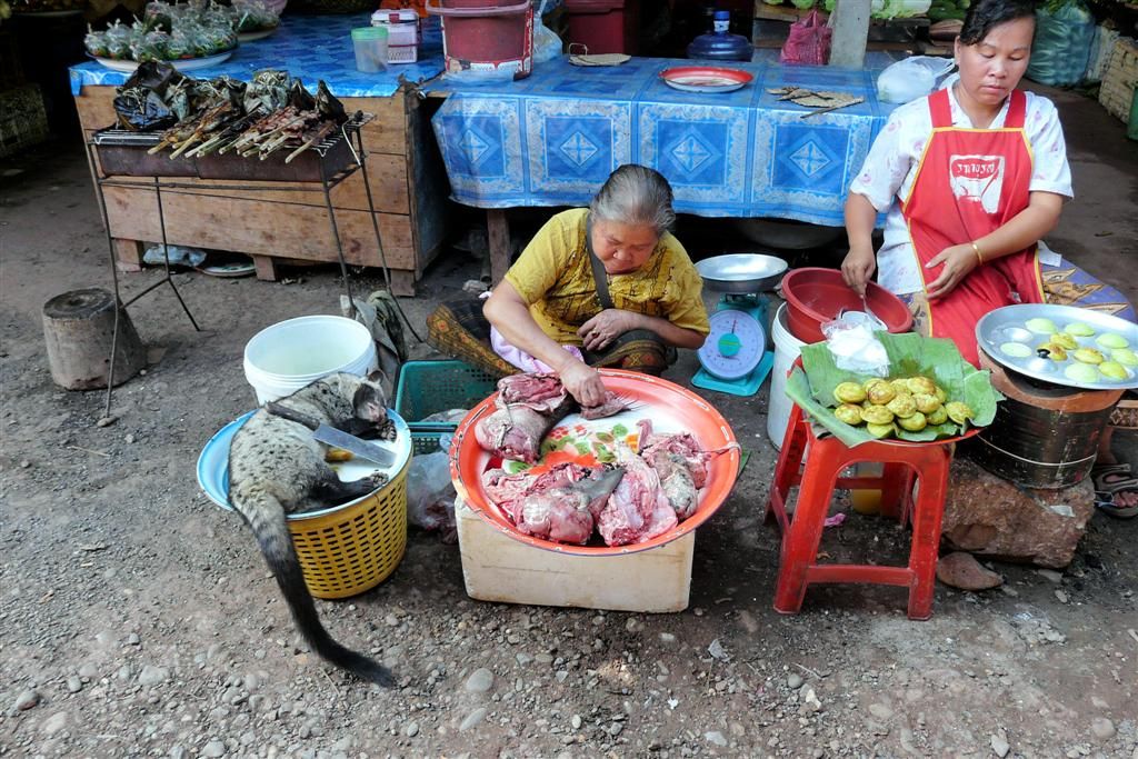 LAOS - VANG VIENG -> VIENTIANE - vlees en poffertjes op een lokale markt
