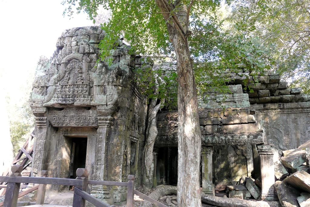 CAMBODJA - SIEM REAP - Ta Prohm van Angkor