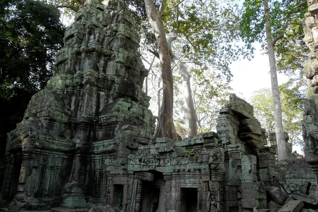 CAMBODJA - SIEM REAP - Ta Prohm van Angkor