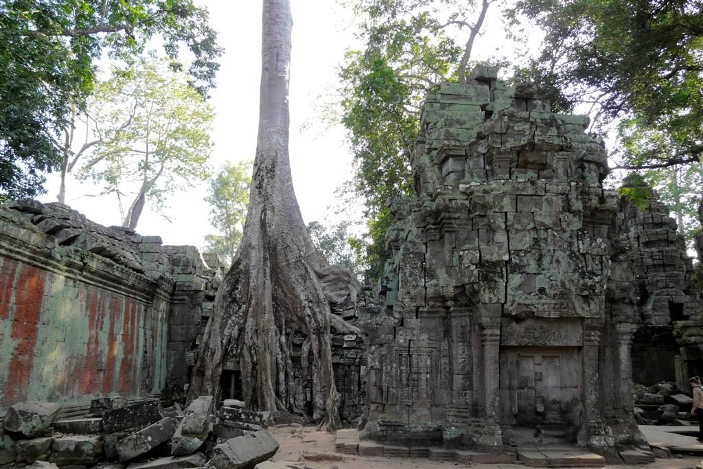 CAMBODJA - SIEM REAP - Ta Prohm van Angkor