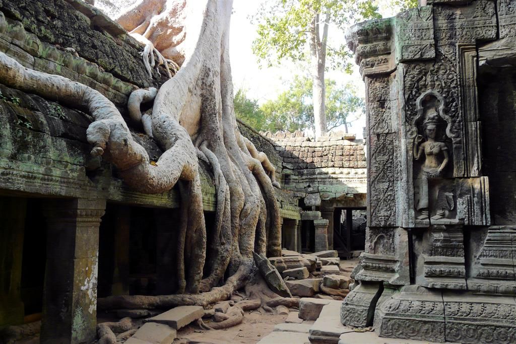 CAMBODJA - SIEM REAP - Ta Prohm van Angkor