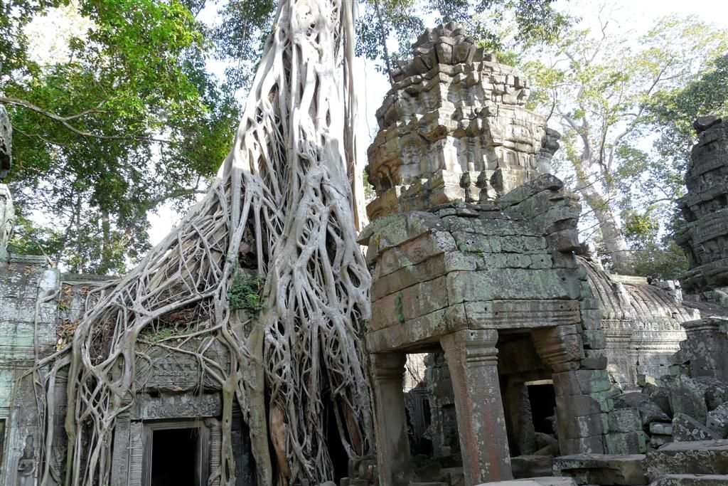 CAMBODJA - SIEM REAP - Ta Prohm van Angkor