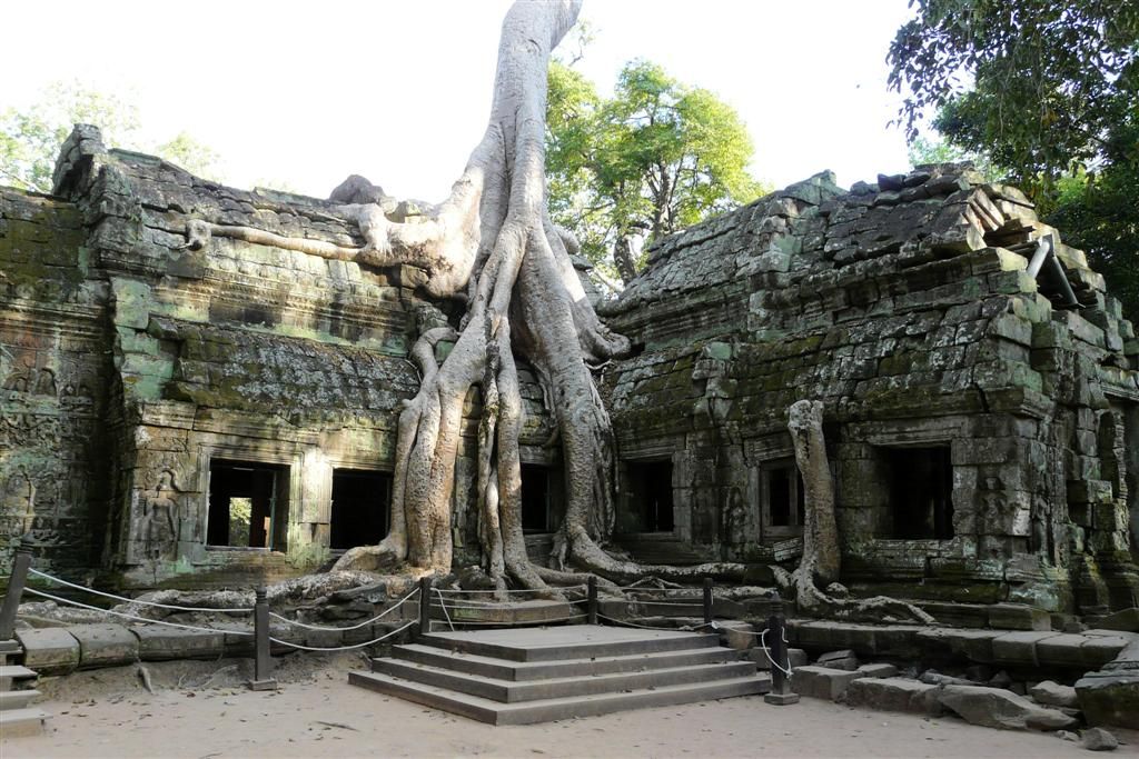 CAMBODJA - SIEM REAP - Ta Prohm van Angkor