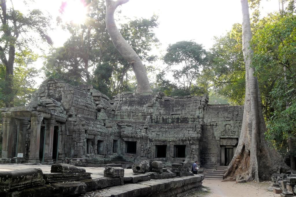 CAMBODJA - SIEM REAP - Ta Prohm van Angkor