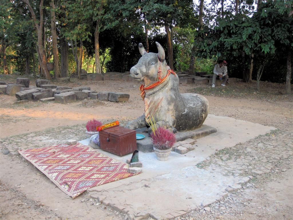 CAMBODJA - SIEM REAP - heilige koe bij de Phnom Bakheng tempel