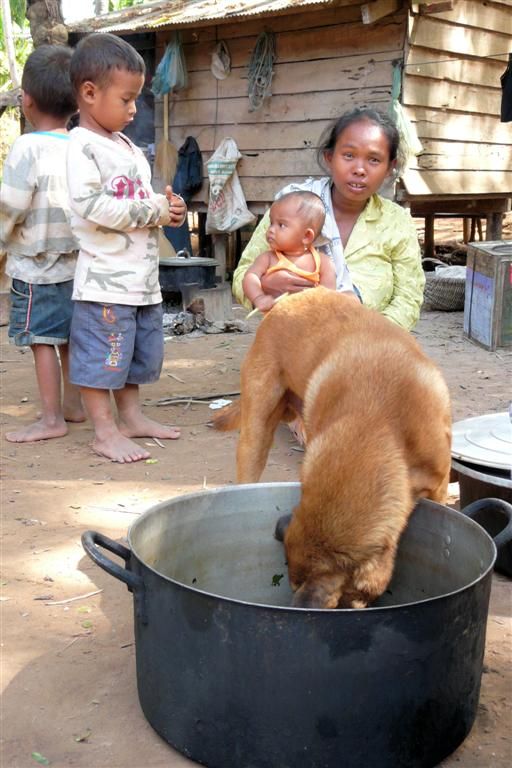 CAMBODJA - SIEM REAP - enkele dorpsbewoners en hond die pan leeg likt